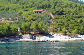 Apartments by the sea Cove Zukova, Korcula - 15123